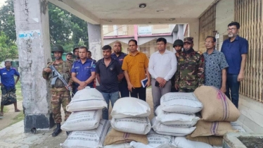 কুষ্টিয়ায় ভিজিএফের ৬০ বস্তা চাল লুট, অভিযানে উদ্ধার ২২ বস্তা