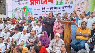 যুক্তরাষ্ট্রে শুল্ক কমায় সরকারকে সাধুবাদ জানালেন ফখরুল