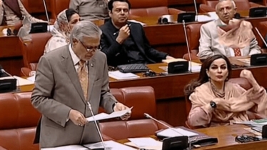 ভারতের অভিযোগ প্রত্যাখ্যান করে পাকিস্তান সিনেটে প্রস্তাব পাস