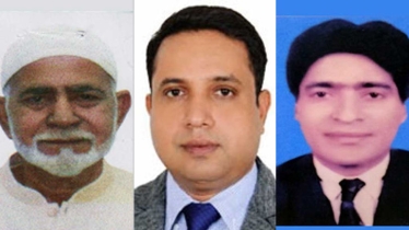 স্বতন্ত্র সাতজনই বিএনপির বিদ্রোহী