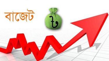 বাজেট কেন কাজে আসে না?