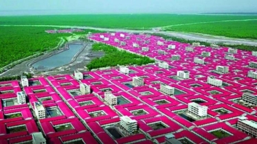 রোহিঙ্গাদের লাকড়ি সংগ্রহে উজাড় ভাসানচরের উপকূলীয় বন