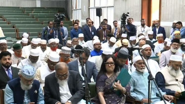 সংবিধান সংস্কার পরিষদের শপথ নিলেন না রুমিন