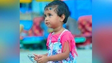 শেরপুরে মায়ের পিছু পিছু সড়কে গিয়ে প্রাণ গেল শিশুর