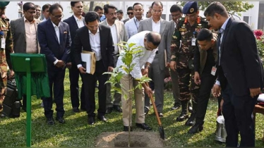 কার্যালয়ে প্রধানমন্ত্রীর প্রথম দিন: বৃক্ষরোপণ ও ডাকটিকিট অবমুক্ত