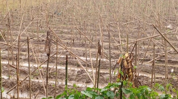 বন্যায় বান্দরবানে ৮ হাজার ৮৫০ হেক্টর জমির ফসল ক্ষতিগ্রস্ত বন্যায় বান্দরবানে ৮ হাজার ৮৫০ হেক্টর জমির ফসল ক্ষতিগ্রস্ত