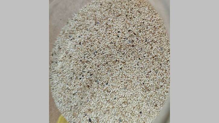 পাখি খাদ্যের ঘোষণা দিয়ে পাকিস্তান থেকে পপি বীজ এনে ধরা