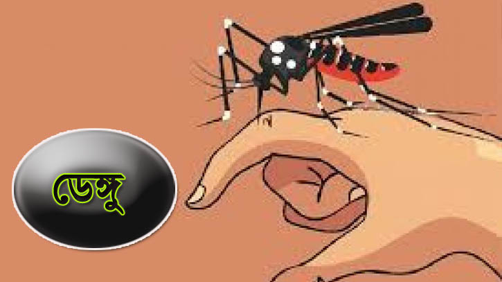 ডেঙ্গু: ২৪ ঘণ্টায় আরো ৭ জনের মৃত্যু