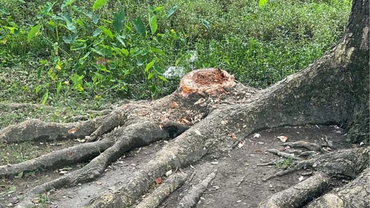 সরকারি সম্পত্তি অপব্যবহার, ইউএনও দিলেন তদন্তের নির্দেশ সরকারি সম্পত্তি অপব্যবহার, ইউএনও দিলেন তদন্তের নির্দেশ