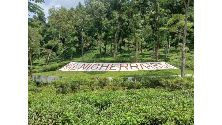 মালনীছড়া চা-বাগান হয়ে উঠছে গুরুত্বপূর্ণ পর্যটনকেন্দ্র মালনীছড়া চা-বাগান হয়ে উঠছে গুরুত্বপূর্ণ পর্যটনকেন্দ্র