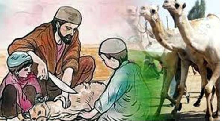 কুরবানী সংক্রান্ত কিছু জরুরি মাসায়েল কুরবানী সংক্রান্ত কিছু জরুরি মাসায়েল