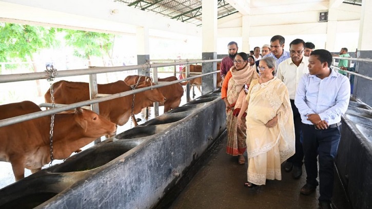 লাম্পি স্কিনে চামড়ার গুণমান ক্ষতিগ্রস্ত হয় কি না, গবেষণার আহ্বান