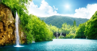 বিশ্ব পরিবেশ দিবস ও ইসলাম