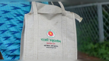 ৯ লাখ ৩৮ হাজার কোটি টাকার বাজেট সংসদে পাস