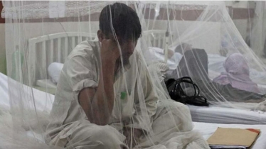 ডেঙ্গুতে আরো একজনের মৃত্যু