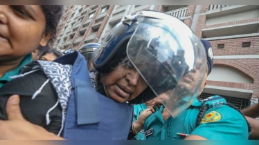 দীপু মনি হাসপাতাল থেকে আবার কারাগারে