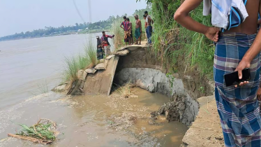 সিরাজগঞ্জে বাড়ছে যমুনার পানি, নদীতীরে ভাঙন আতঙ্ক