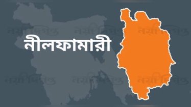 নীলফামারীতে মাছ ধরতে গিয়ে বিদ্যুৎস্পৃষ্টে নিহত ২