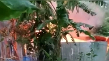 পাবনায় স্কুলছাত্রী রিয়া হত্যা: আসামির বাড়িতে আগুন, ৩ জনের মৃত্যু
