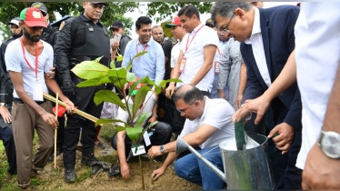 ২৫ কোটি বৃক্ষরোপণ কর্মসূচির উদ্বোধন করলেন প্রধানমন্ত্রী