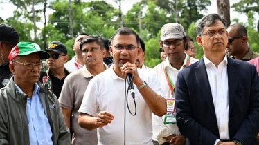সন্তানের ভবিষ্যৎ চিন্তা করে একটি করে গাছ লাগান: প্রধানমন্ত্রী