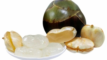 তালশাঁসের যত উপকারিতা