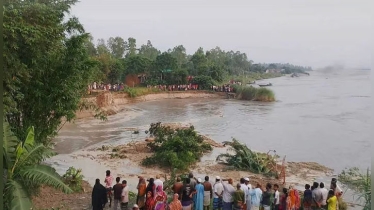যমুনায় বাড়ছে পানি ভাঙছে পাড়, বিলীন হচ্ছে ঘরবাড়ি