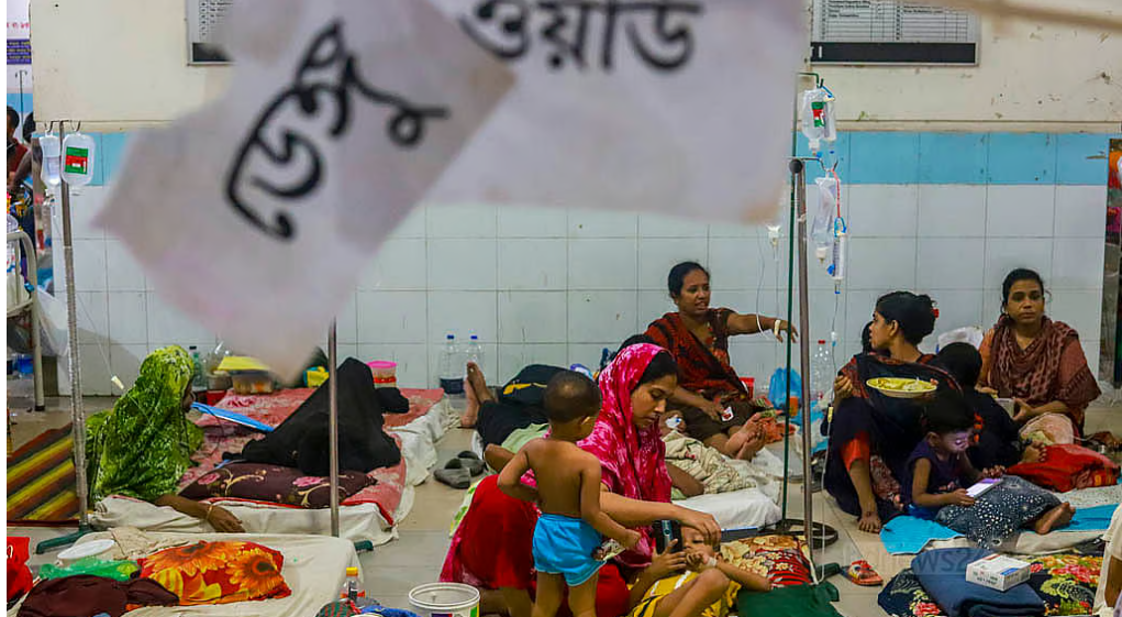 ডেঙ্গুতে ১১ মৃত্যু, হাসপাতালে ভর্তি ২০৭১