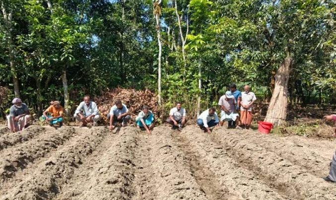 নাটোরে নয় হাজার ৫২৩ আখচাষিকে চার কোটি ১৯ লাখ টাকা প্রণোদনা প্রদান