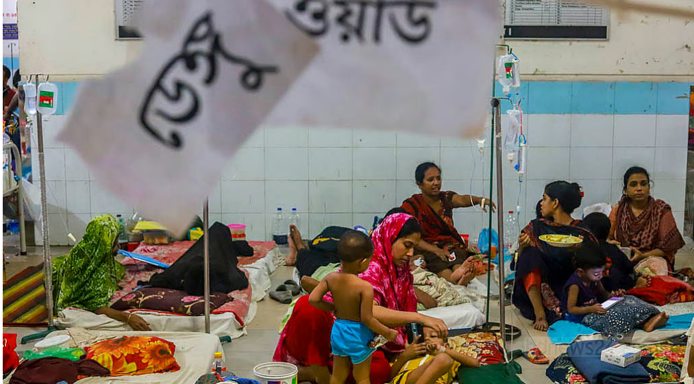 ডেঙ্গুতে ৩ জনের মৃত্যু, হাসপাতালে ১২৯৯ জন