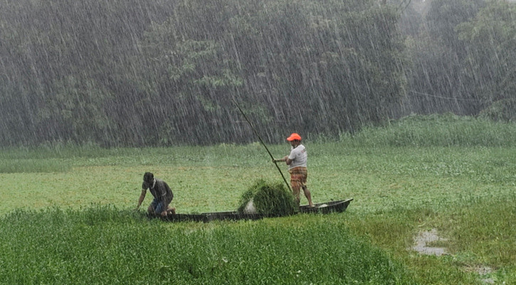 নিম্নচাপে সারাদেশে বাড়বে বৃষ্টি, কমবে গরম অনুভূতি
