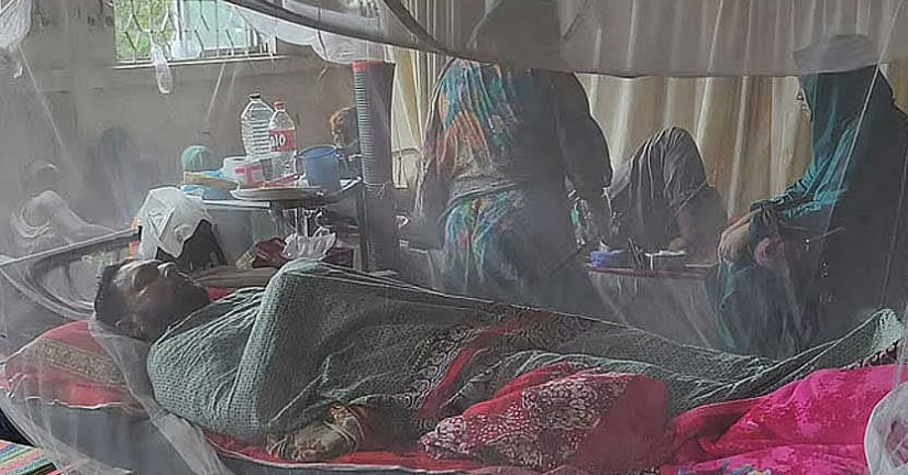 ডেঙ্গু নিয়ে হাসপাতালে ভর্তি ৭৪৭