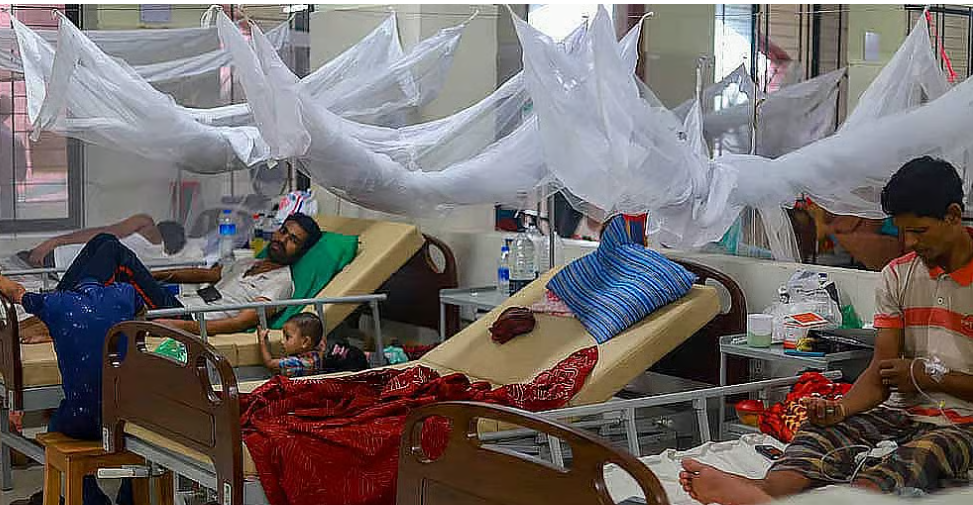 ডেঙ্গুতে আরও ৮ মৃত্যু