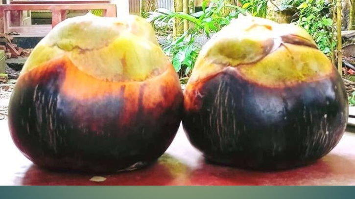 পাকা তাল: শুধু স্বাদেই নয়, পুষ্টিগুণেও অনন্য