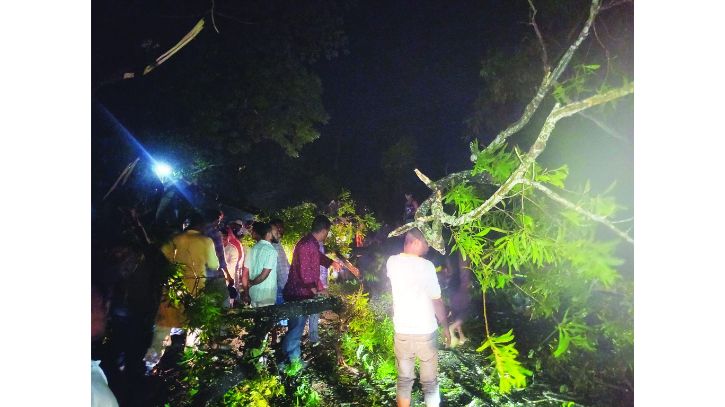 কুড়িগ্রাম : গাছের ডাল কাটা নিয়ে হামলা, প্রাণ গেল ভাই-বোনের