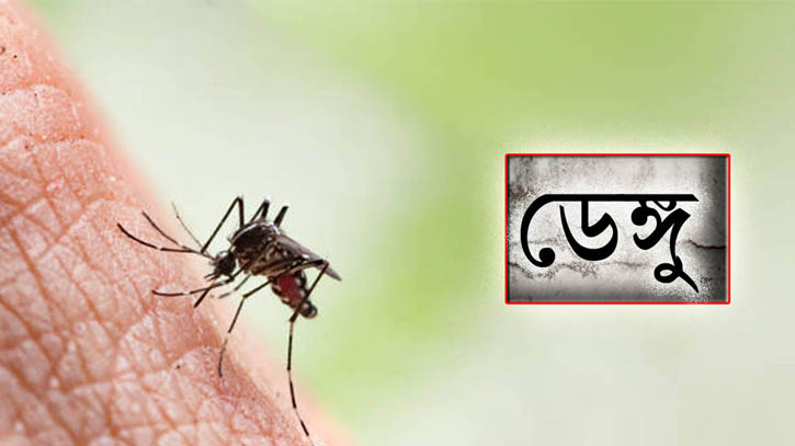 ডেঙ্গুতে আরও ৫ জনের মৃত্যু