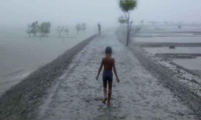বজ্র বৃষ্টিসহ ঝড়ো হাওয়া বয়ে যেতে পারে