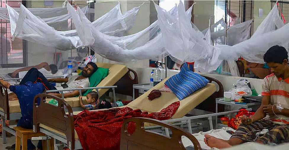 ডেঙ্গুতে ৬ জনের মৃত্যু, হাসপাতালে ভর্তি নতুন রোগী ১৬৫৫